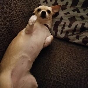 Meet your Posher, Cherie